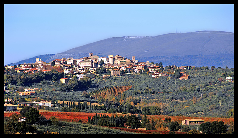 PANORAMA DI MONTEFALCO