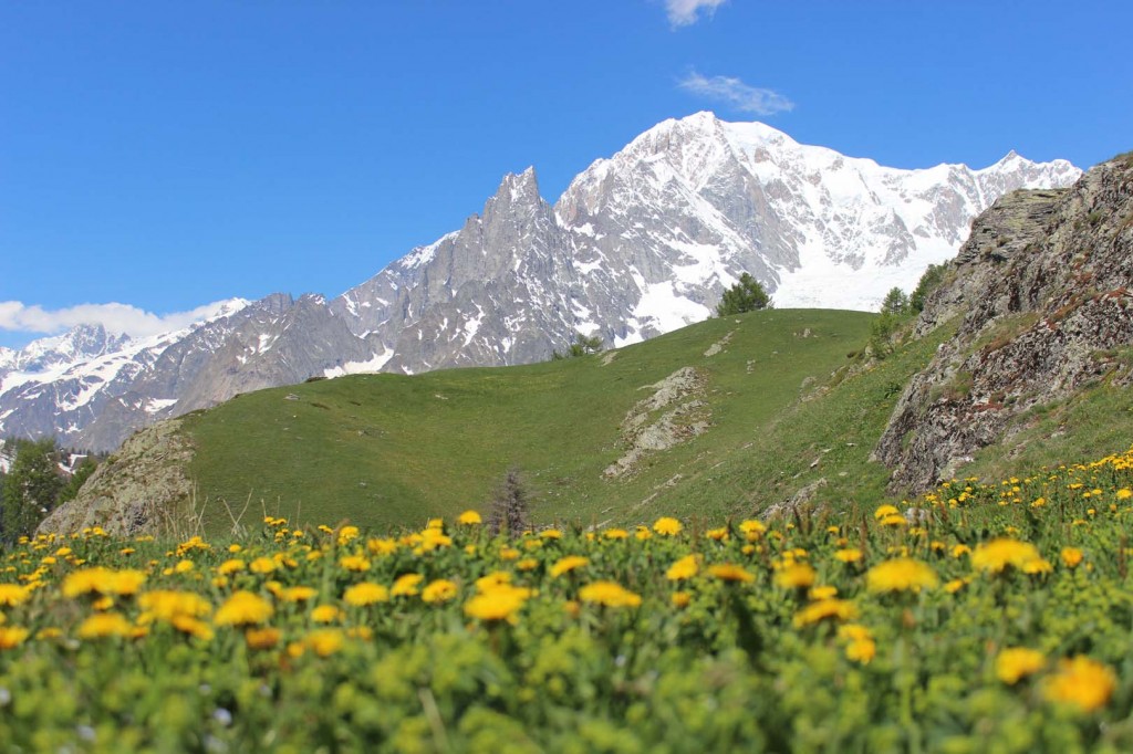 MONTE BIANCO